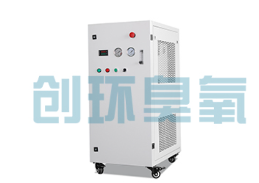 临夏石斑鱼养殖水质调控完整指南:臭氧发生器配置与操作步骤