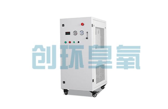临夏比传统换水更高效?臭氧发生器在石斑鱼养殖中的水质净化原理解析